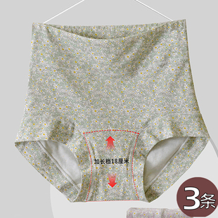 头 透气无舒适痕全棉档妈妈三角短裤 加长裆纯棉碎花内裤 女高腰大码