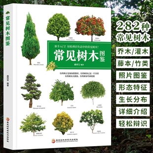 4本39 新手入门轻松辨识282种常见树木常见树木图鉴乔木灌木园林植物识别栽培应用景观300自然珍藏图鉴丛书1000种野外速查书籍 包邮