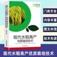 现代水稻高产优质栽培技术 杂交水稻制种技术书籍 水稻种植基础知识育秧田间管理生产选育病虫害杂草防治现代农业种植优质栽培大全