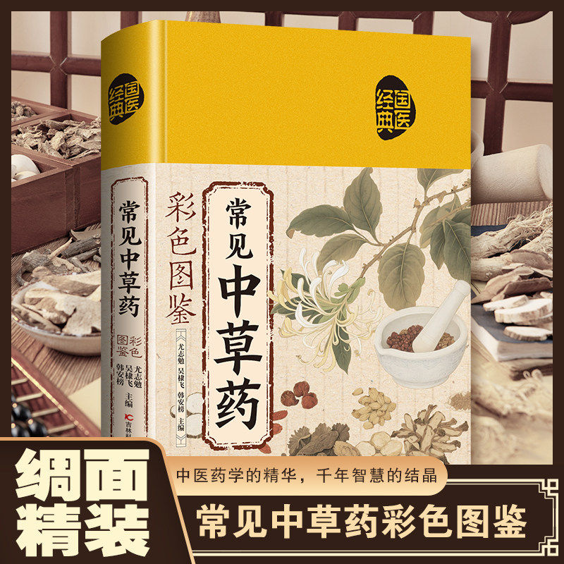 常见中草药彩色图鉴 正版超实用中草药识别手册中草药图鉴图谱中国药材图鉴中药材大全200多种常用中草药识别应用原色图片中医书籍