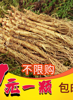 长白山现挖新货鲜人参精选