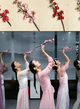 古典舞逃之夭夭灼灼其华真梅花枝腊梅桃花粉色儿童演出舞蹈道具