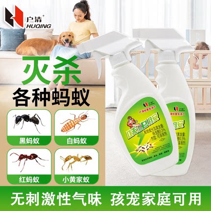 杀灭蚂蚁药蟑螂室内家用一锅全窝非无毒端黑红小黄家蚁杀虫喷雾剂