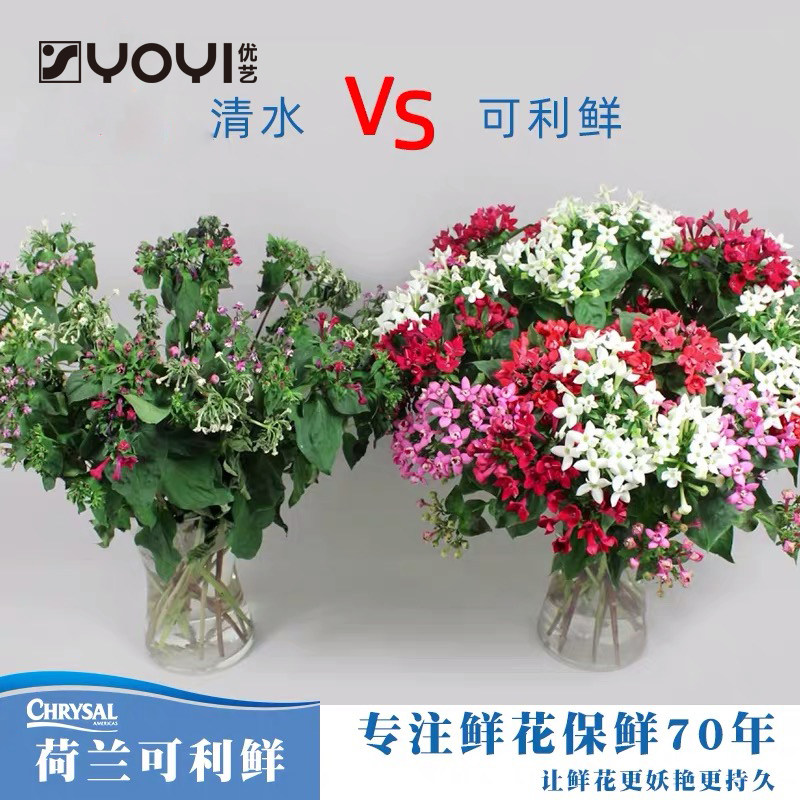 鲜花营养液通用型小袋保合液保鲜剂百侣伴鲜荷兰保鲜剂