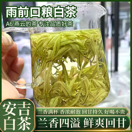 A6安吉白茶2026新茶雨前口粮茶