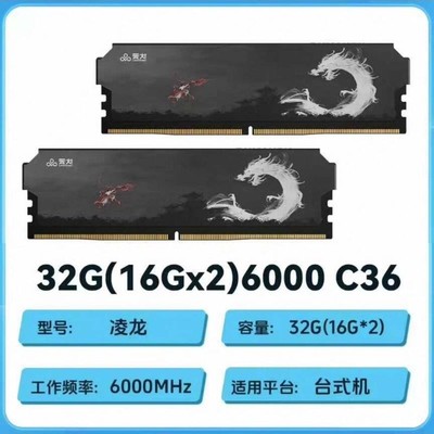 议价云彣紫光国芯 DDR5内存条 台式机内存条 5代内存条