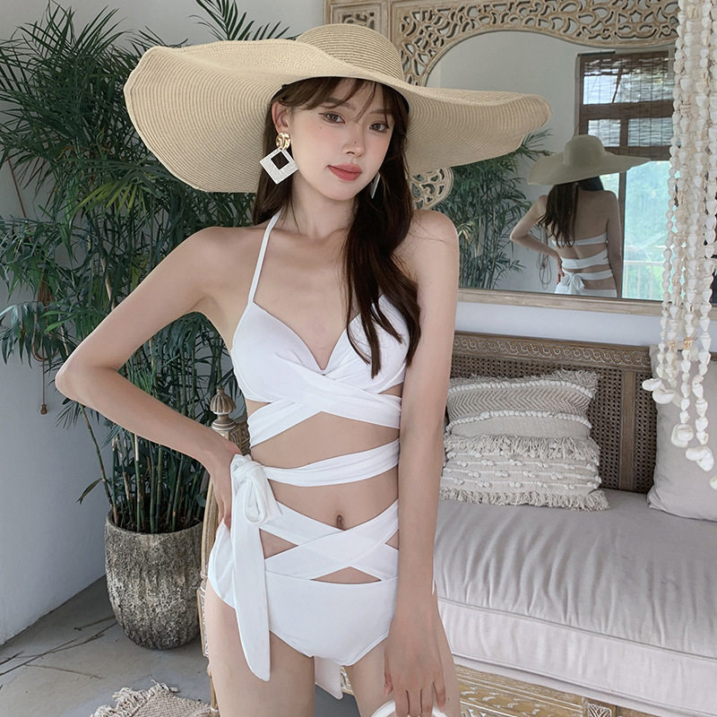 火凤凰-慕海边度假性感比基尼泳衣女ins风小胸聚拢网红夏季分体泳