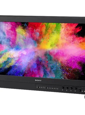Sony索尼BVM-HX310  4K TRIMASTER HX™ 专业主监视器