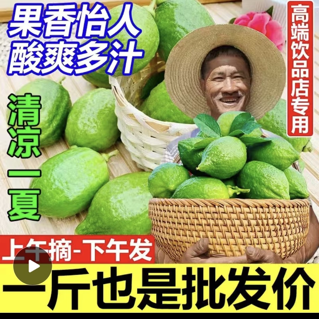 广东江门一级香水柠檬新鲜采摘无籽青柠檬奶茶轻食餐饮店顺丰包邮