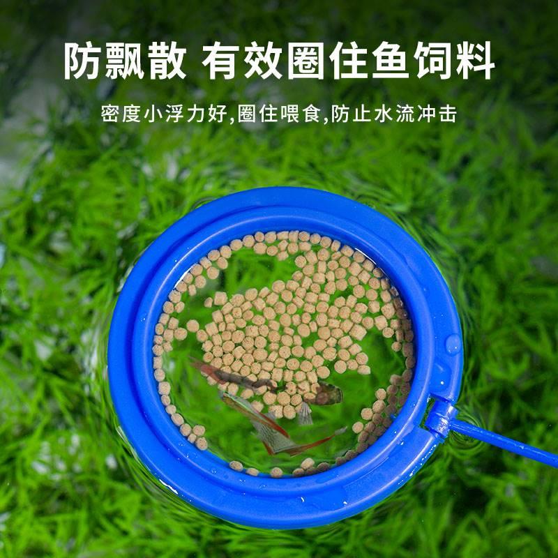 鱼缸喂食器喂鱼神器孔雀鱼漂浮喂食圈丰年虾投食器鱼食投喂器