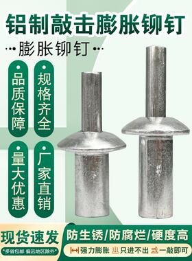 敲击式铝铆钉击芯铆钉膨胀螺丝击打铆钉膨胀卡扣子母铆钉花蓬帐钉