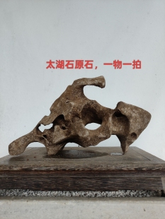 天然奇石盆景附石精品鱼缸造景石头观赏原石摆件A05