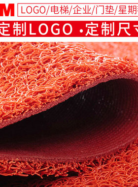 地垫加厚丝圈防滑地毯进门门垫