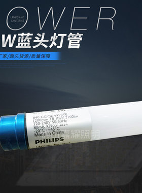 飞利浦T8高流明经济型LE