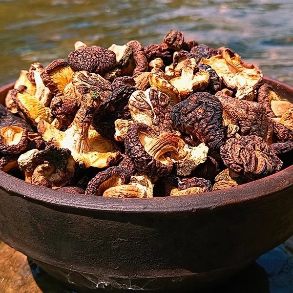 江西大山深处（野生香菇干），纯正香气，缺点性价比太低量少贵！