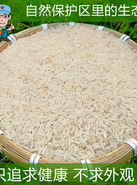 江西铁丝岭自然保护区出产大米生态自留种农家一季晚稻不抛光500g