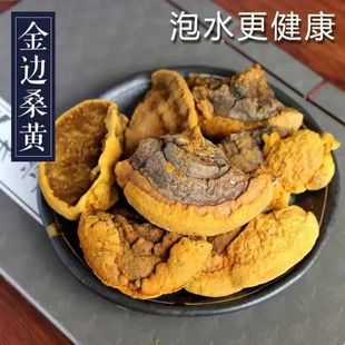 桑黄野生西藏桑树桑黄灵芝正品 野生桑树桑黄金边桑黄野生灵芝