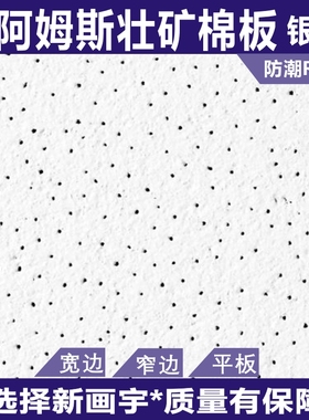 阿姆斯壮银星雅秀针孔耐潮RH99矿棉板600*600*16可耐福天花吸音板