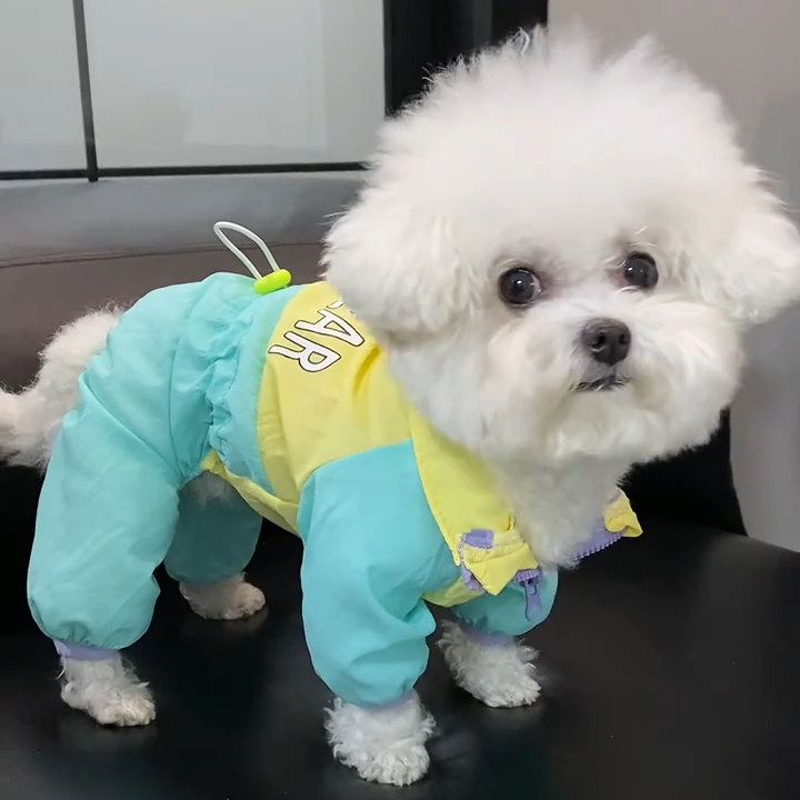 狗狗衣服春夏防尘裤小型犬四脚衣