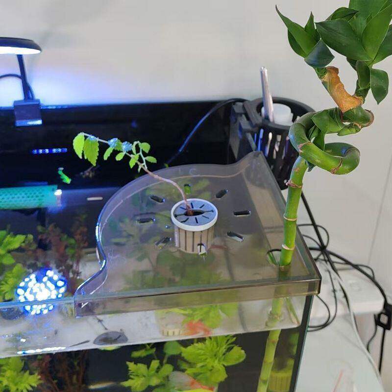养鱼必备工具非水培绿植托盘架支架造景打孔免置物架代发收纳
