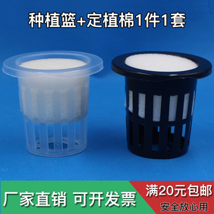 水培定植篮种植杯无土栽培蔬菜设备水管专用栏固根器塑料园艺绿植