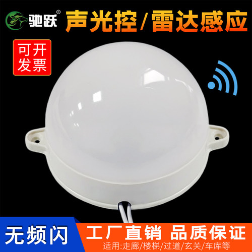 过道走廊人体感应声控灯