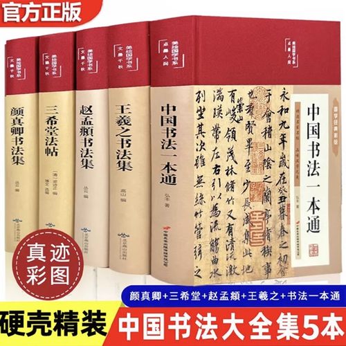 彩图精装全5册中国书法一本通 三希堂法帖 颜真卿赵孟頫书法集王羲之行书字帖硬笔小楷名家书法尺牍墨迹作品集毛笔字帖书籍