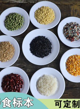 五谷杂粮营养膳型标本定制仿真食品食物模型科普科教样品防腐防潮