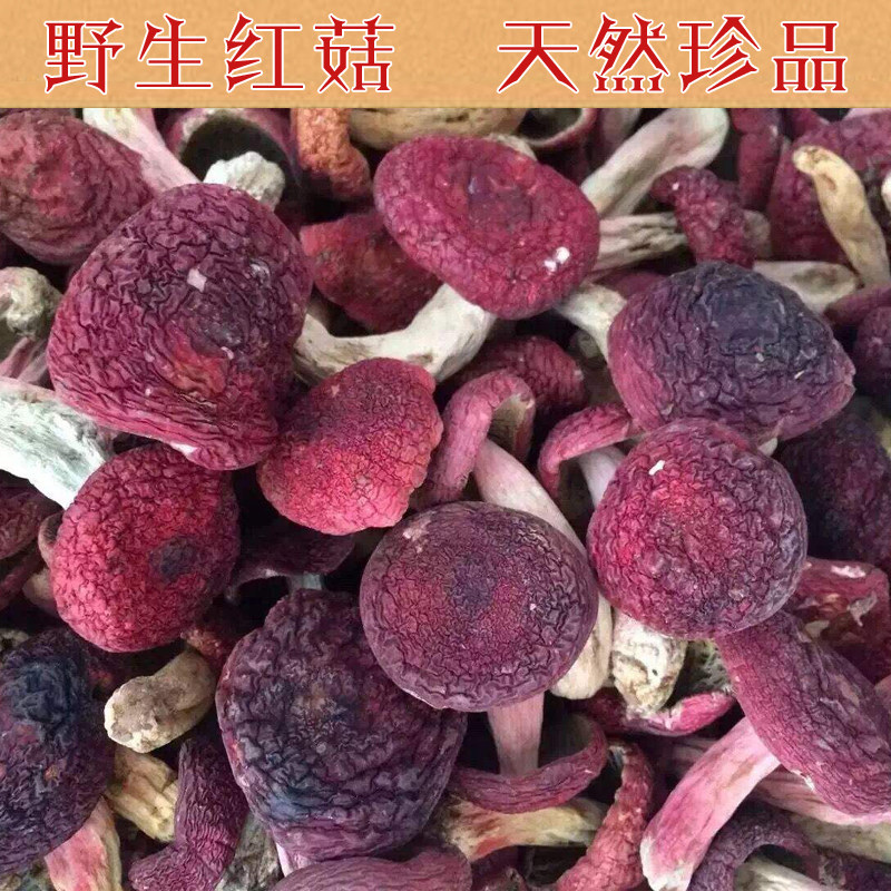 福建三明正宗野生红菇蓝底正红菇