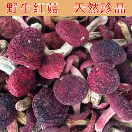 福建三明正宗野生红菇干货蓝底正野味红蘑菇月子菇无硫小红菇500g