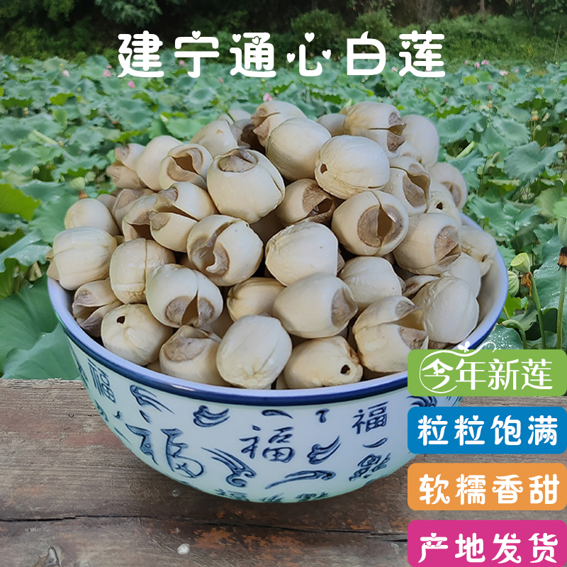 福建特产建宁莲子特级新货新鲜