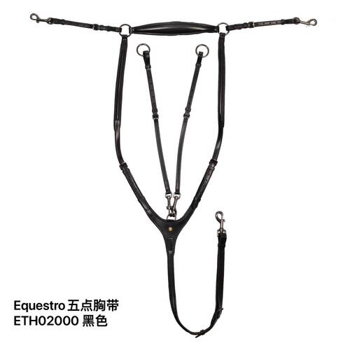 五点意大利进口马术装备胸带