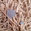 Bird&#39;s Nest U.S.A Imported quality goods Wisconsin Wild Ginseng American ginseng roots 250g Hongkong globe