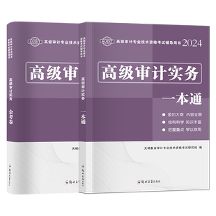 中级审计师教材2026年新版初级审计师辅导用书真题模拟试卷解析高级审计实务一本通模拟卷题库全套初级审计师考试复习指南真题网课