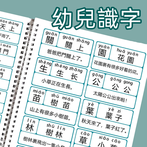 繁体识字稚慧早教1300字无声3岁+
