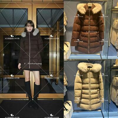 女士高尔夫服装24秋冬外套