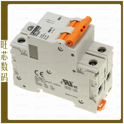 1019931【CIRCUIT BREAKER 2A】