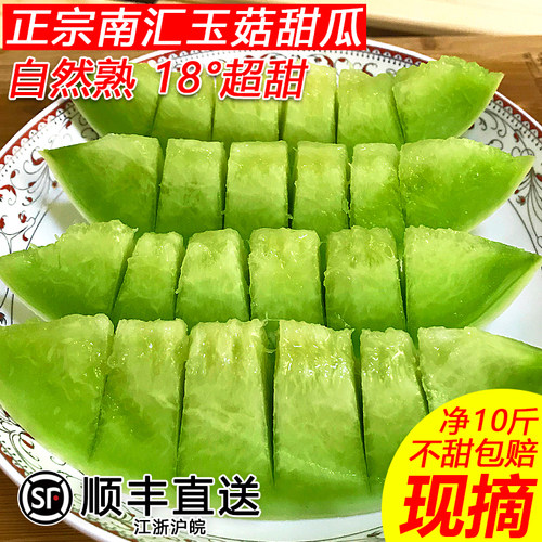 南汇现摘玉菇甜瓜超甜多汁软糯