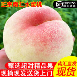 上海南汇水蜜桃正宗现摘新鲜水果应当季大团白凤蜜露桃子香甜爆汁