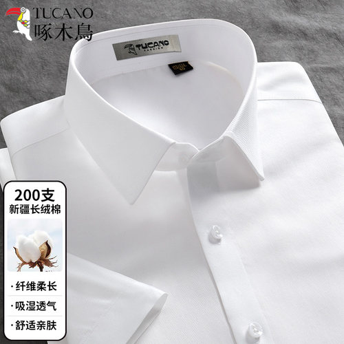 [200支4股纯棉DP免烫]啄木鸟衬衫