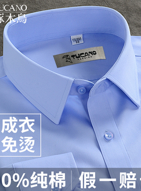 啄木鸟纯棉DP免烫长袖衬衫男士秋季新款商务休闲正装职业蓝白衬衣