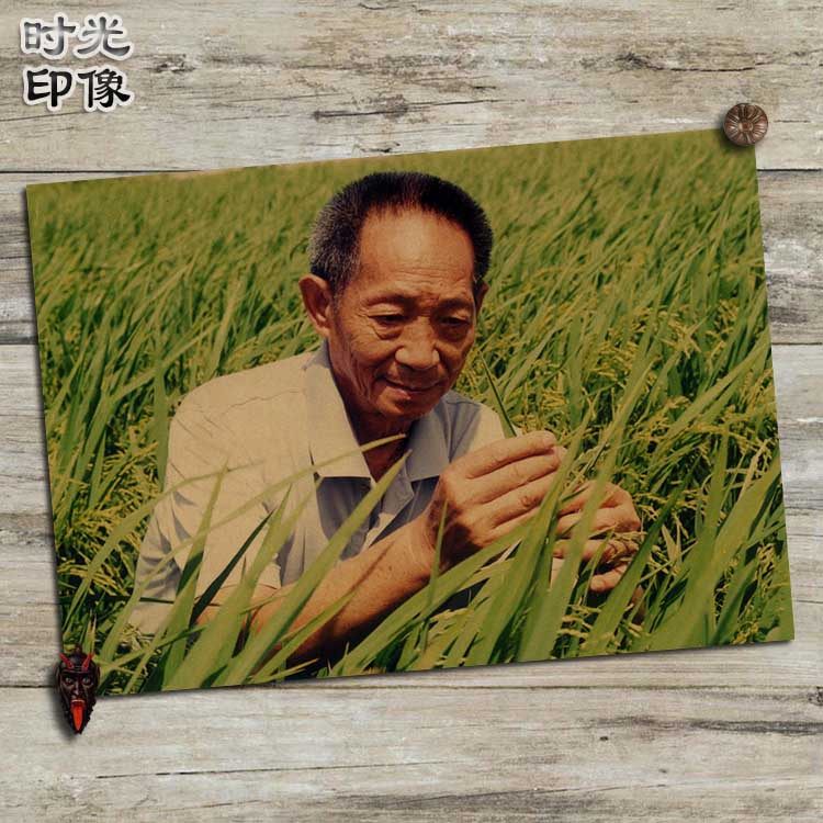袁隆平中国杂交水稻之父文艺复古牛皮纸海报装饰相框挂画壁画画芯