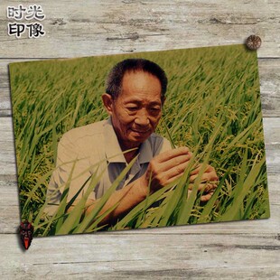 袁隆平中国杂交水稻之父文艺复古牛皮纸海报装饰相框挂画壁画画芯