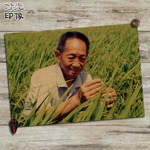 杂交水稻之父复古风牛皮纸海报