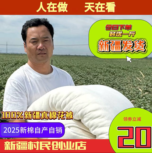 新疆棉花被垫被冬季加厚单人双人学生宿舍棉絮被褥纯棉花长绒棉