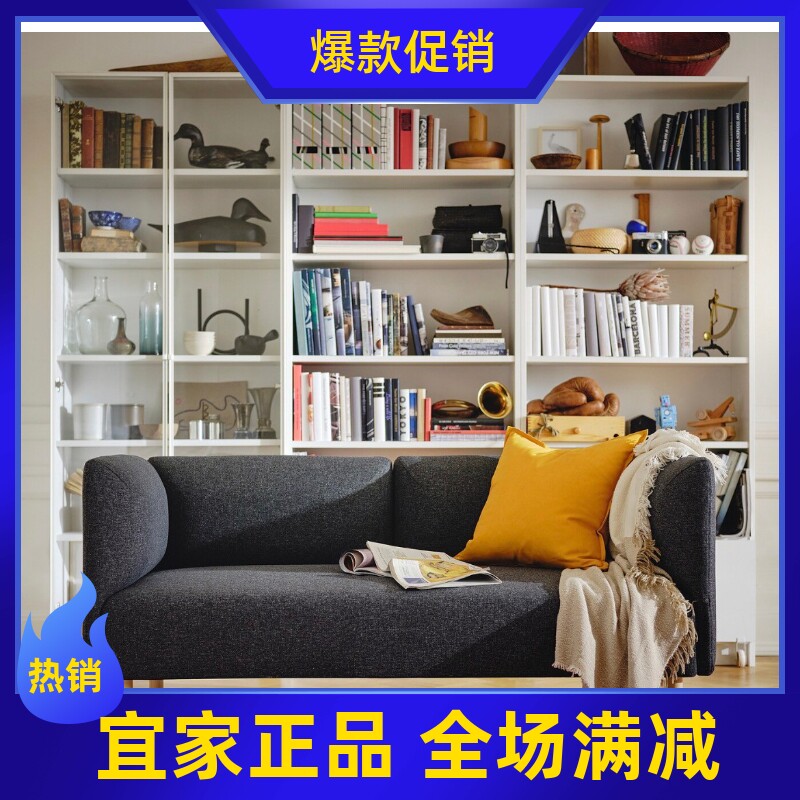 宜家代购利乐亨2人沙发家用客厅小户型简约现代布艺沙发可拆洗