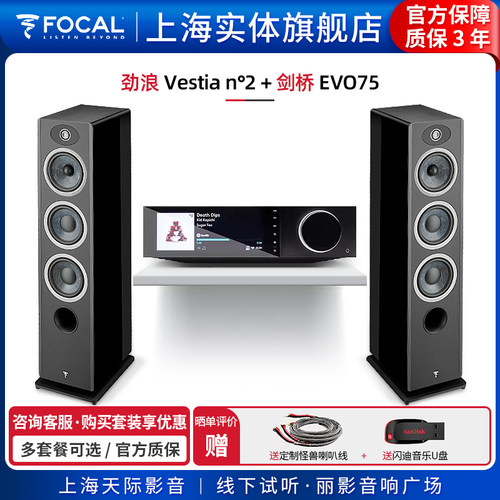 劲浪Focal发烧HIFI落地音箱套装
