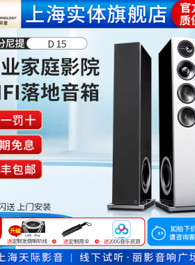 狄分尼提 D.T音箱 Demand D15发烧HiFi落地音箱 专业家庭影院音响