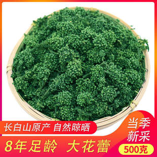 长白山人参花材500g非野生林下花大花蕾足年新鲜人参花泡水喝