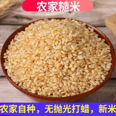 纯糙米2024年新米农家粗粮五谷杂粮米饭糙米代餐健身主食熬粥专用